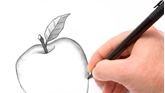 Show details for Beginners Guide to Drawing Picture of Beginners Guide to Drawing