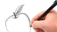 Picture of Beginners Guide to Drawing