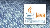 Show details for Java Programming Fundamentals Picture of Java Programming Fundamentals