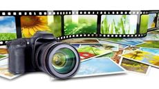 Show details for Nature Photography Picture of Nature Photography