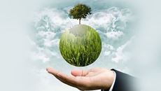 Show details for Optimal Healing Environments Picture of Optimal Healing Environments