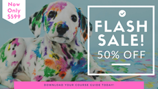 Show details for Dog Grooming Diploma Picture of Dog Grooming Diploma