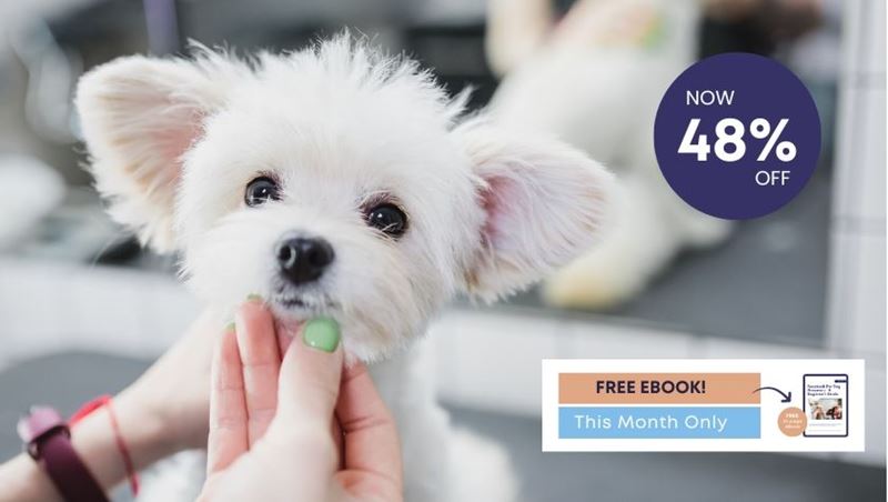 Picture of Dog Grooming Bundle (2 Courses)