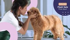 Picture of Dog Grooming Bundle (2 Courses)
