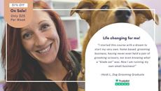 Show details for Dog Grooming Diploma Picture of Dog Grooming Diploma