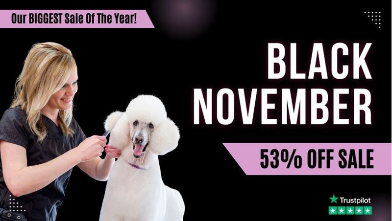 Picture of Dog Grooming Diploma