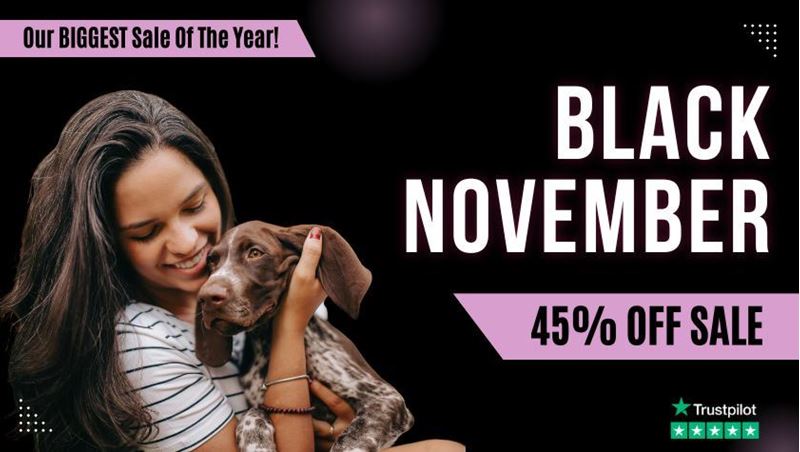 Picture of Dog Behaviour And Training