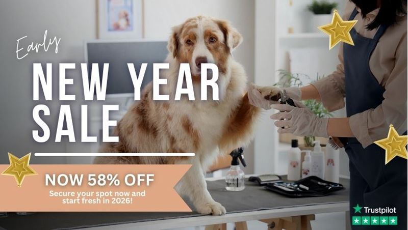 Picture of Dog Grooming Diploma Course Bundle