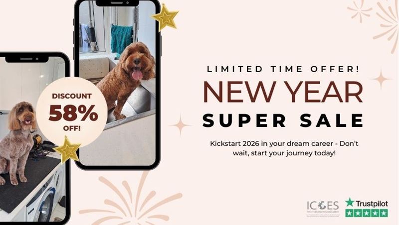 Picture of Dog Grooming Diploma Course Bundle