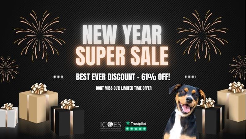 Picture of Dog Grooming Diploma Course Bundle