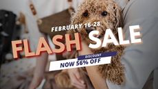 Picture of Dog Grooming Bundle (2 Courses)