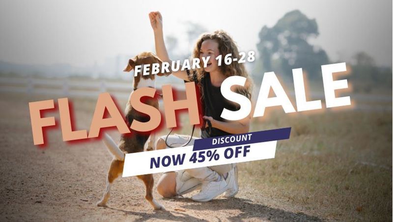 Picture of Dog Behaviour And Training