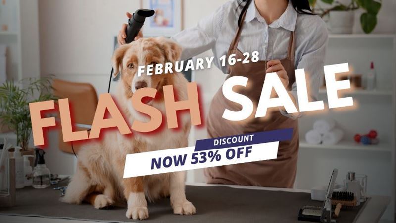 Picture of Dog Grooming Diploma