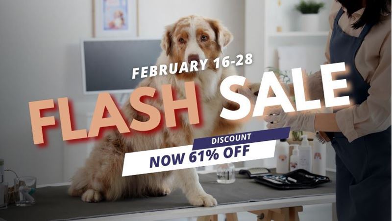 Picture of Dog Grooming Diploma Course Bundle