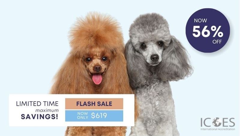 Picture of Dog Grooming Bundle (2 Courses)