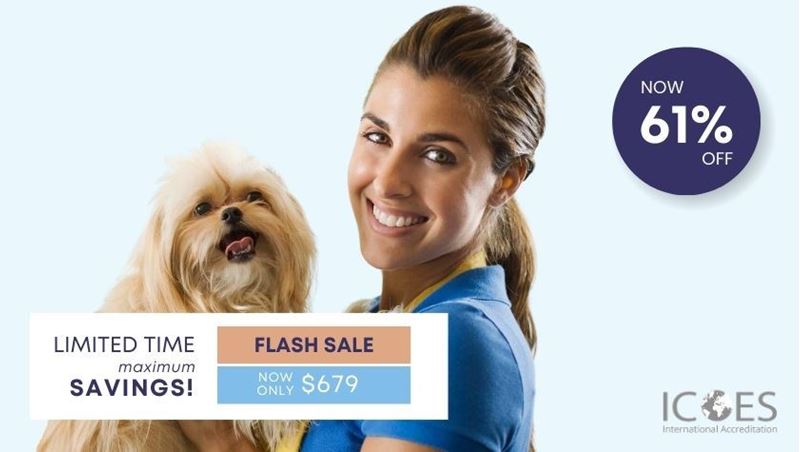 Picture of Dog Grooming Diploma Course Bundle