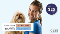 Picture of Dog Grooming Bundle (2 Courses)